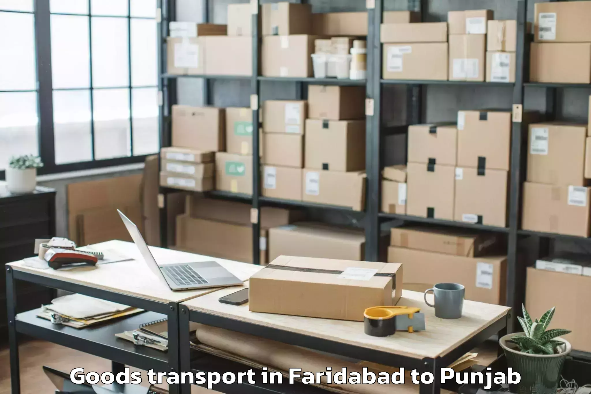 Book Your Faridabad to Raikot Goods Transport Today